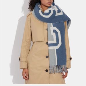 NWT Coach Oversized Scarf Blue and Gray 100% Wool